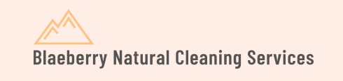 Light duty cleaner
